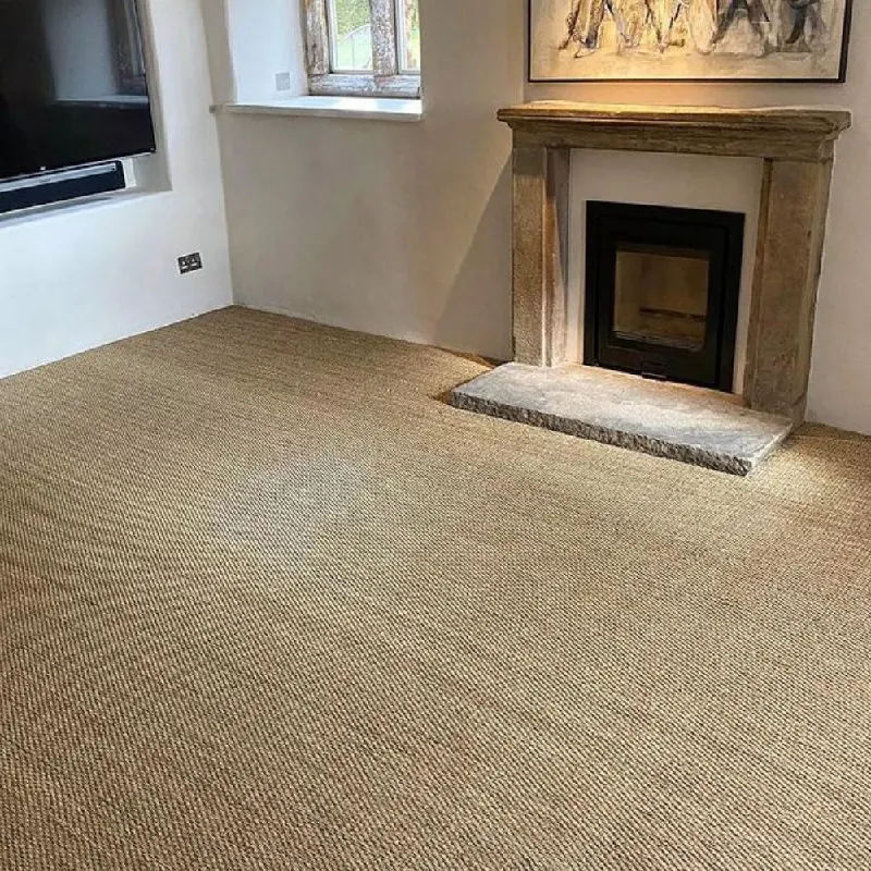 Beige sisal carpet in contemporary living room