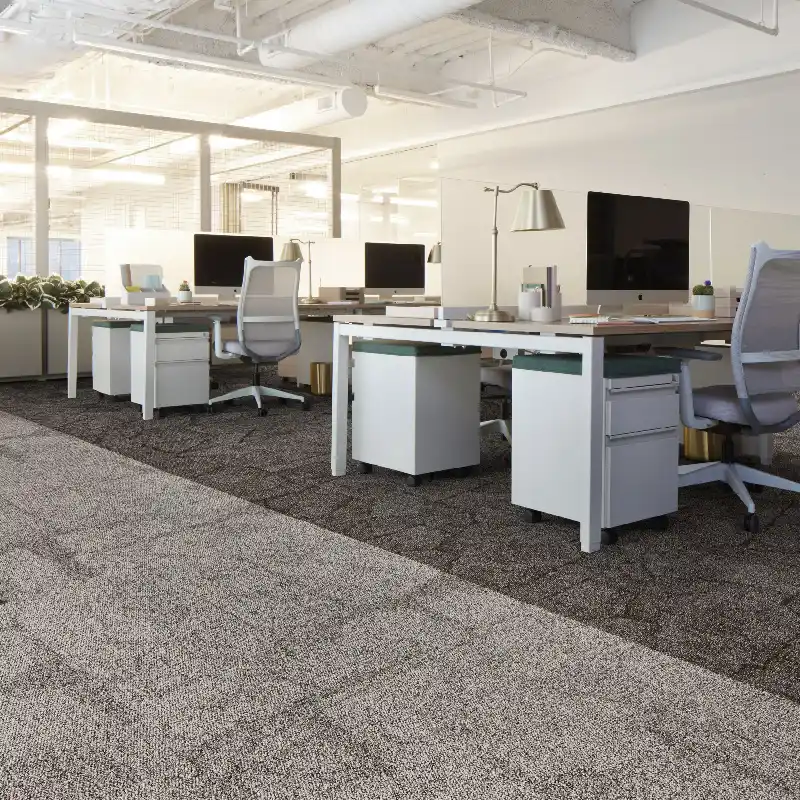 Light beige textured carpet in modern office.